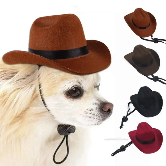 Cowboy Hat for Dogs and Cats
