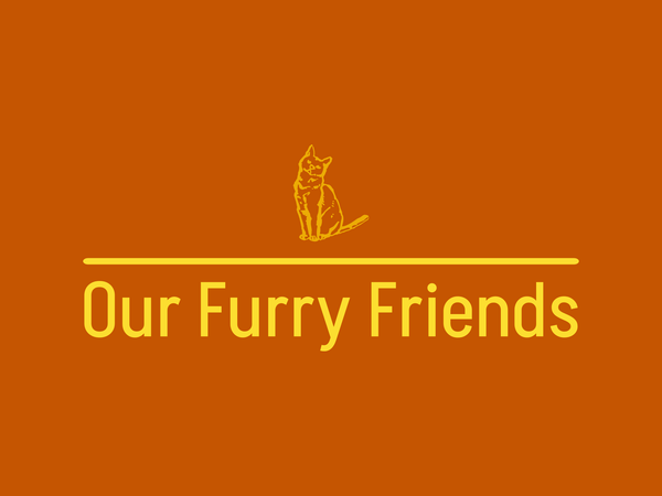 Our Furry Friends